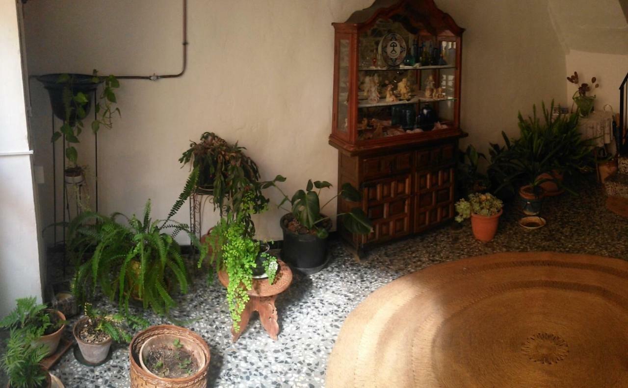 Apartament Rural Vilaplana Экстерьер фото